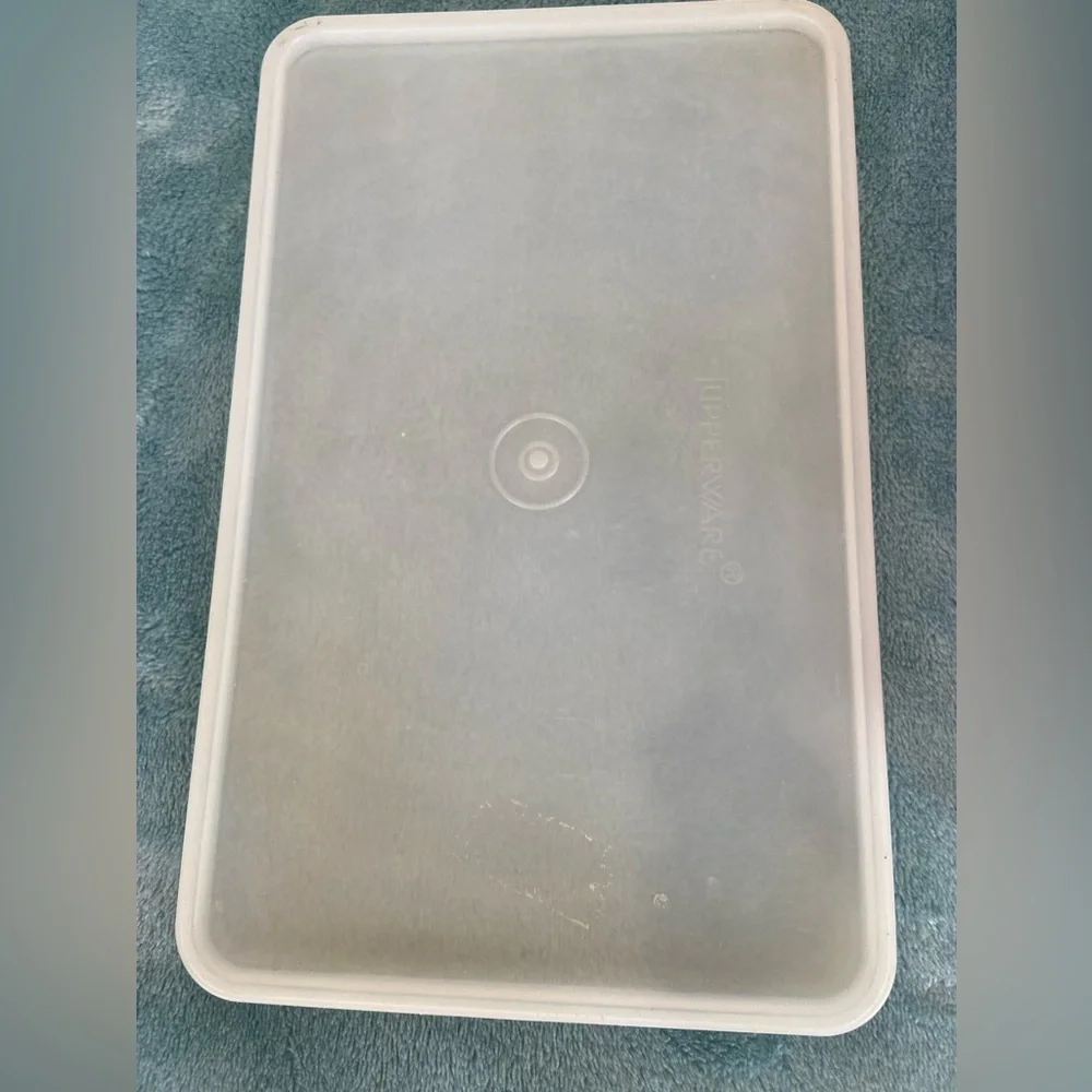 Tupperware Deli Meat Keeper Storage Vintage Orange With White Lid